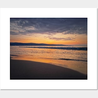 Sea sunrise with seagulls flying Posters and Art